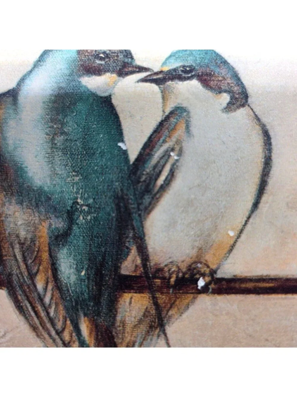 Set Of 3 Square Ceramic Bird Coasters Cork Backing  Blue White Love Bird